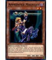 Apprentice Magician