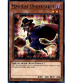 Magical Undertaker