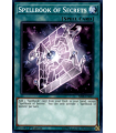 Spellbook of Secrets