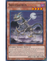 Skelesaurus