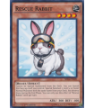 Rescue Rabbit