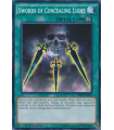 Swords of Concealing Light