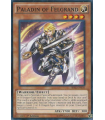 Paladin of Felgrand