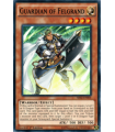 Guardian of Felgrand