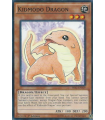 Kidmodo Dragon