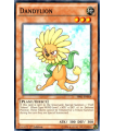 Dandylion