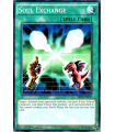 Soul Exchange