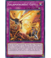 Salamangreat Gift