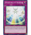 Invincibility Barrier