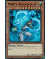 White Dragon Ninja