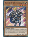 Paladin of Felgrand