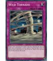 Wild Tornado