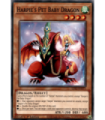 Harpie's Pet Baby Dragon