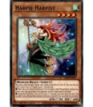 Harpie Harpist