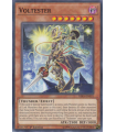 Voltester