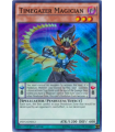 Timegazer Magician