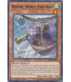 Recon, Scout Fur Hire