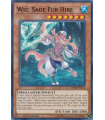 Wiz, Sage Fur Hire