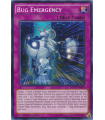 Bug Emergency