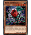 Rose Tentacles