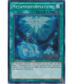 Metamorformation