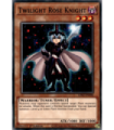 Twilight Rose Knight