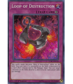 Loop of Destruction