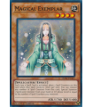 Magical Exemplar