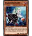 Dark Rose Fairy