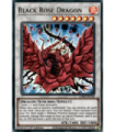 Black Rose Dragon