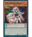 Nobledragon Magician