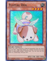 Fluffal Dog