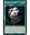 Black Garden