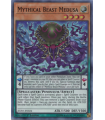 Mythical Beast Medusa