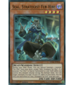 Seal, Strategist Fur Hire