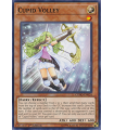 Cupid Volley