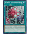 Borrel Regenerator