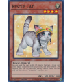 Rescue Cat (AA) (UR)