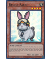 Rescue Rabbit (QCSR)