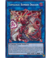 Topologic Bomber Dragon