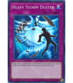 Heavy Storm Duster