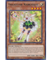 Trickstar Narkissus