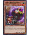 Self-Destruct Ant