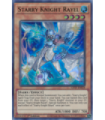 Starry Knight Rayel