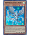 Starry Knight Astel