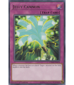 Jelly Cannon