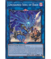 Unchained Soul of Rage (PSR)