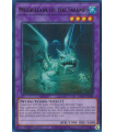 Mudragon of the Swamp (UR)