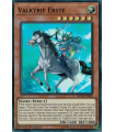 Valkyrie Erste