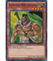 Elemental HERO Wildheart